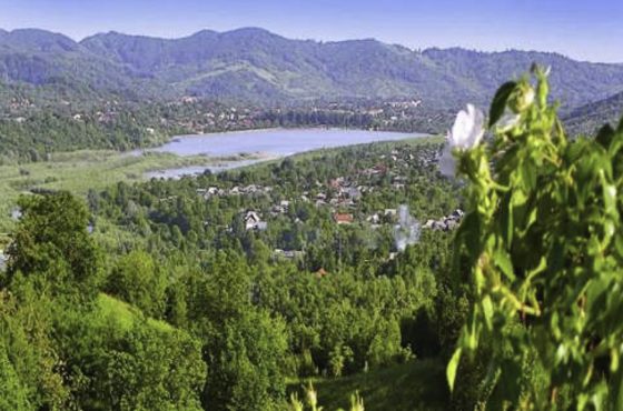 Băile Pucioasa
